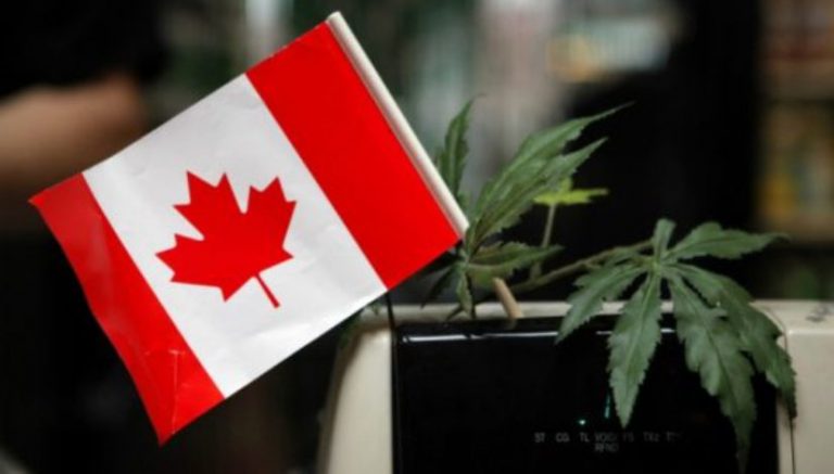 Canadian provinces bargaining with feds over how to divvy cannabis tax revenue