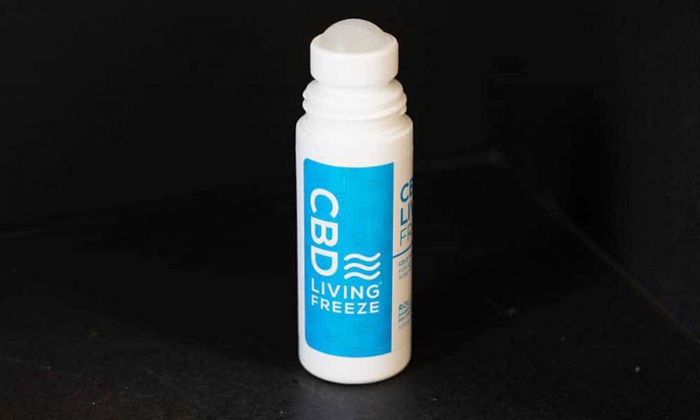 All Of The Top 10 Entries From The 2017 SoCal Harvest Cup