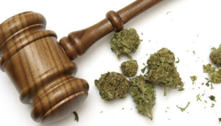 NJ court orders state to review marijuana’s Schedule I status, given “abundant” medical benefits