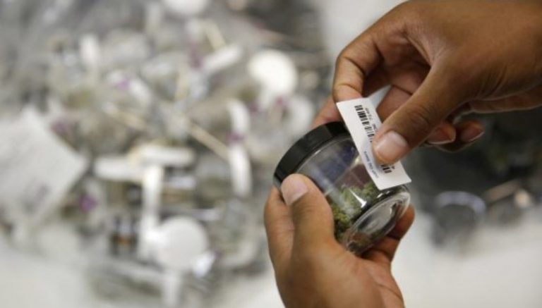 Where will you be able to buy cannabis in Massachusetts when sales start?