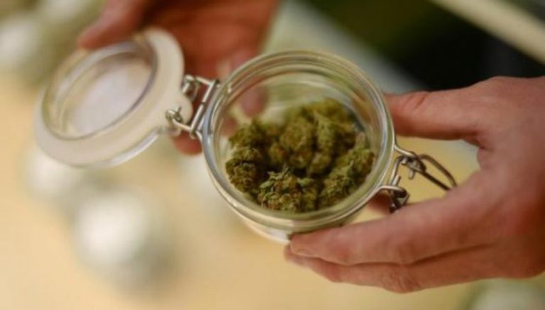 Michigan marijuana activists feeling legalization momentum