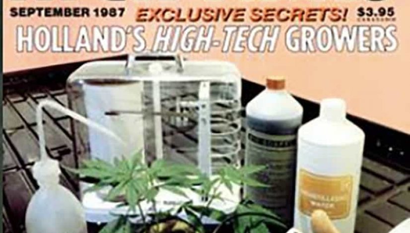 how-to-build-wealth-with-weed_1