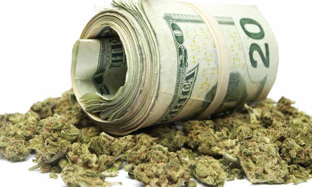 How to Build Wealth with Weed