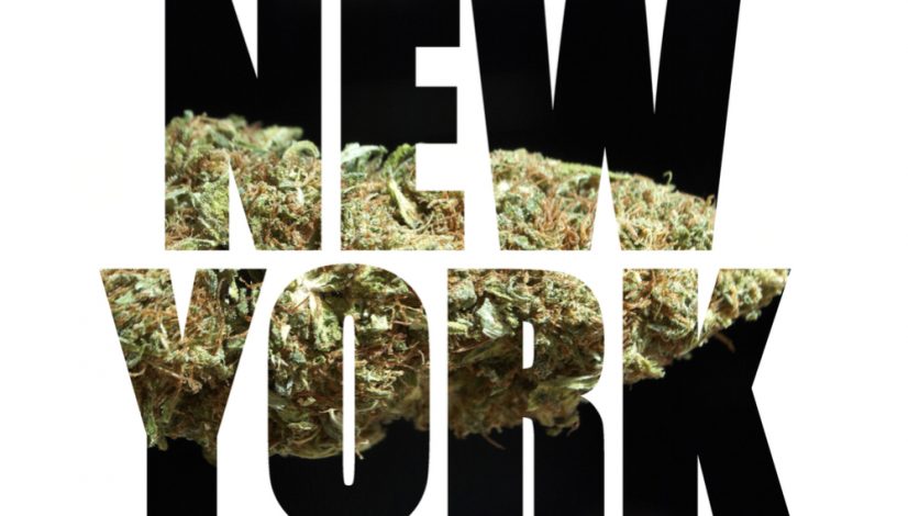 majority-of-new-york-voters-support-pot-legalization_1