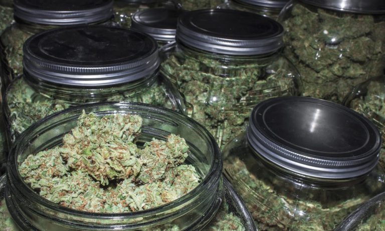 Michigan Decides To Let Pot Shops Stay Open