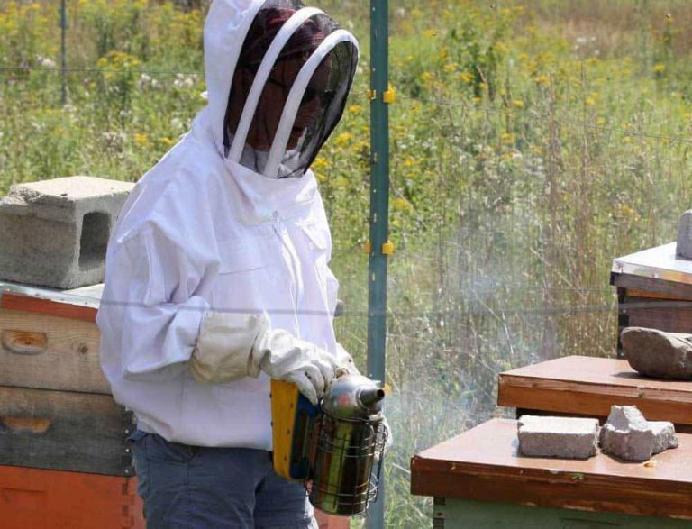 The Benefits Of Cannabis-Infused Honey