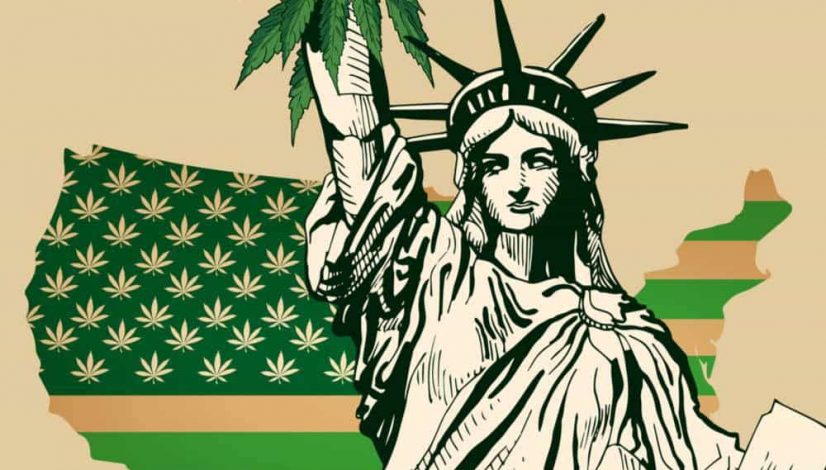 the-misleading-campaign-for-marijuana-legalization-in-new-york_1