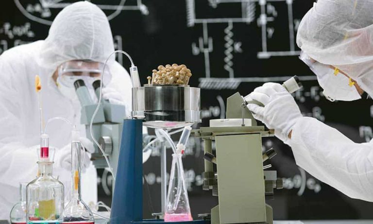 Transformational Tripping