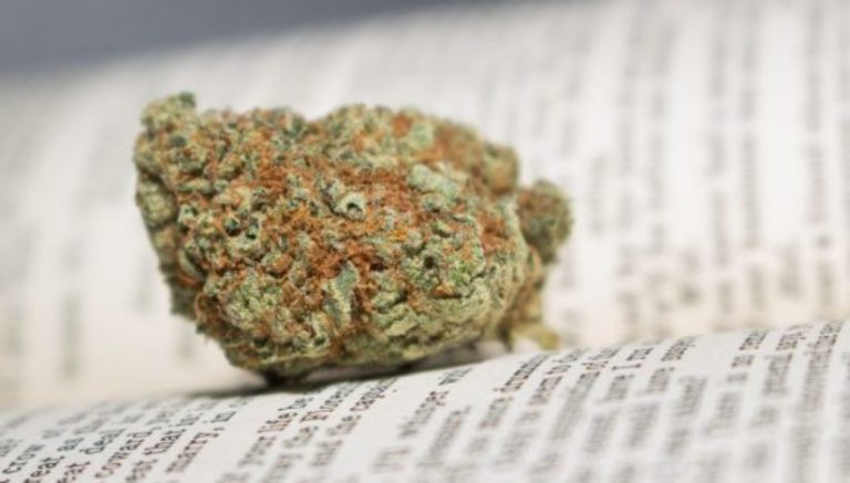 Colorado podcaster wants to pay you to change your major to cannabis