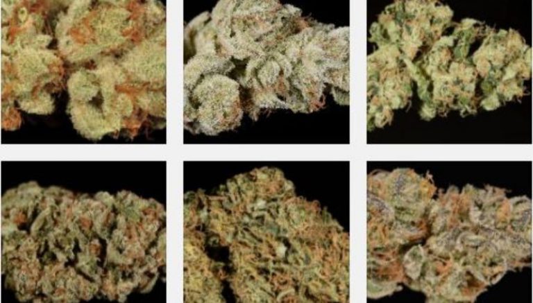 How to review cannabis: a complete guide