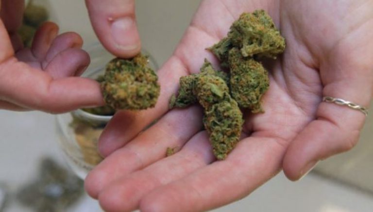 Knock, knock: Florida medical marijuana makes first home delivery