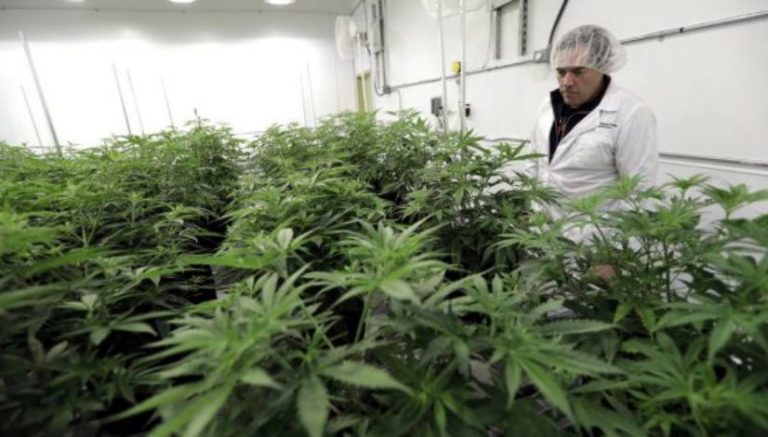 Texas rules will severely limit access to medical marijuana