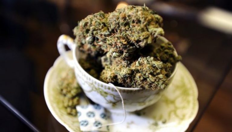 SWAT-style search for marijuana over tea leaves and garden supplies heads to court