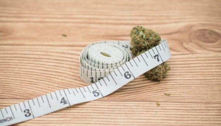 Can cannabis help with weight management?