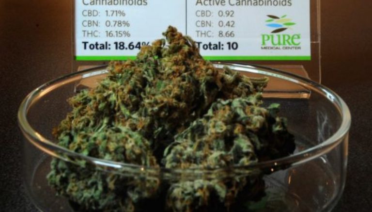 Milestone time for Florida medical marijuana: First dispensary opens