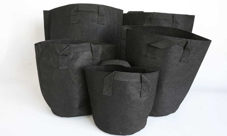 Plant Containers: Traditional Pots Vs. Grow Bags