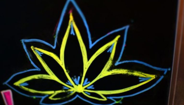 California ‘church’ was really an illegal marijuana dispensary, police allege