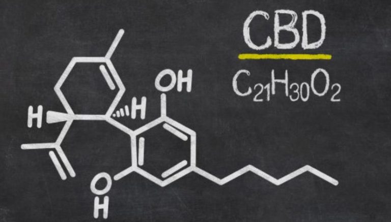 Hemp industry lawsuit challenging DEA’s position on CBD picks up support of 28 U.S. legislators