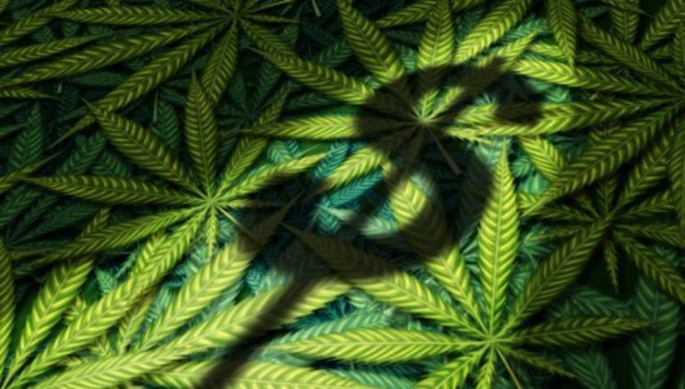 Colorado lawmakers on course to fix pot-tax glitch that led to doomed special session