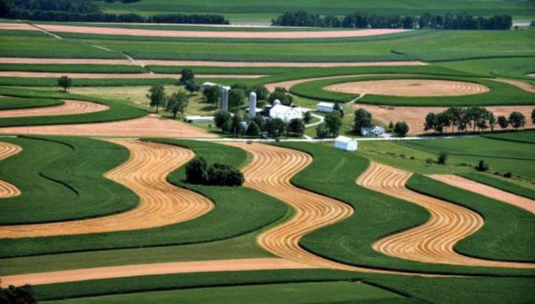 Hemp could be Pennsylvania’s once and future cash crop