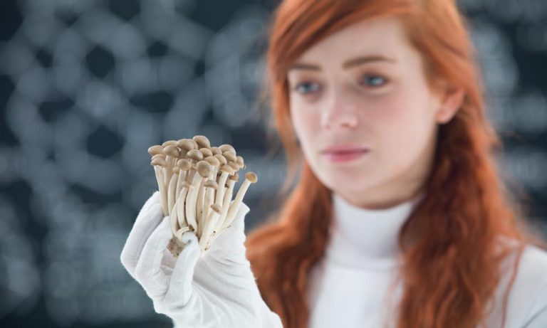 Can Magic Mushrooms Change Political Views?