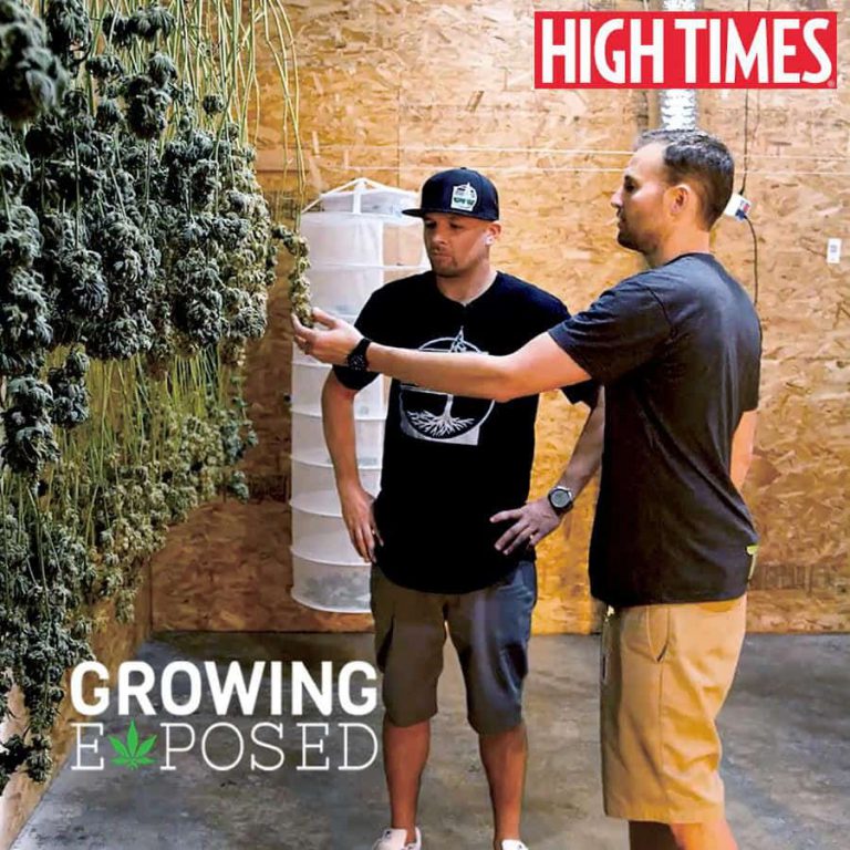 Growing Exposed Episode 12—Treedom