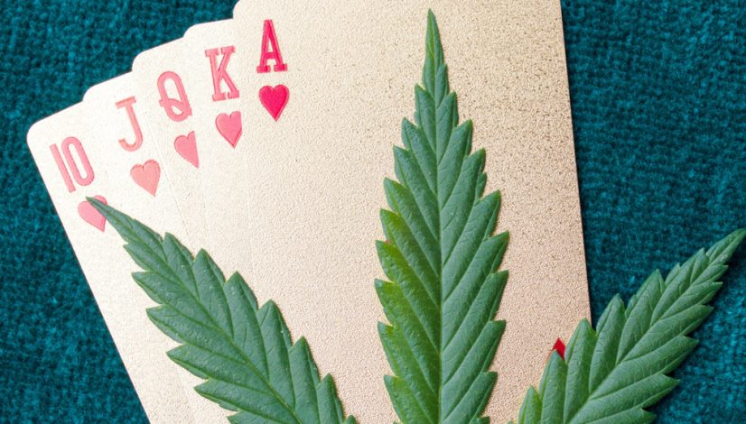 this-deck-of-bicycle-hemp-playing-cards-changes-the-game_1