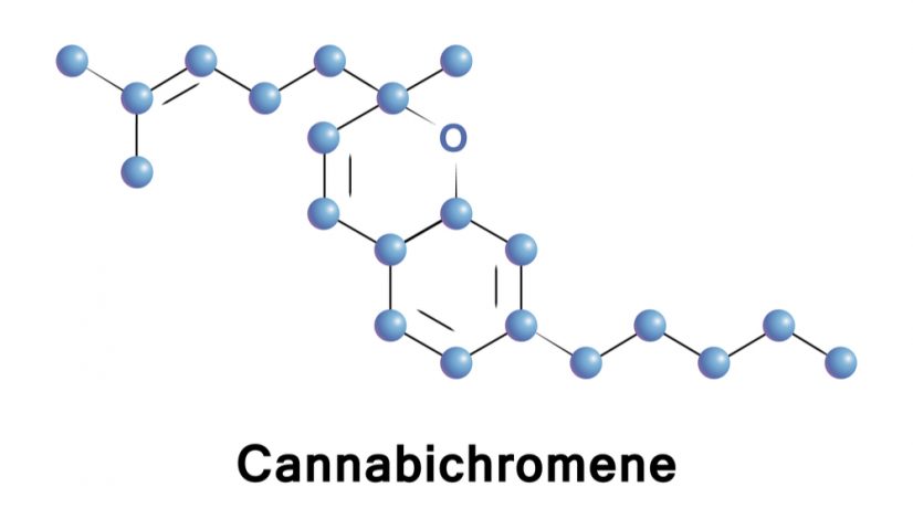 what-is-cbc-cannabichromene-and-what-does-it-do_1