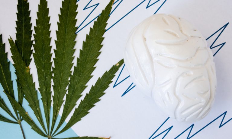 What Is CBDV (Cannabidivarin) And What Does It Do?