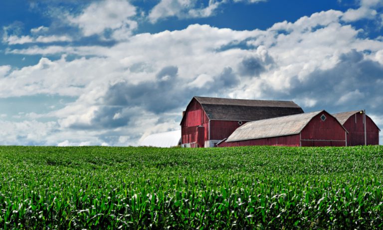 Will Legal Cannabis Save Canadian Agriculture?