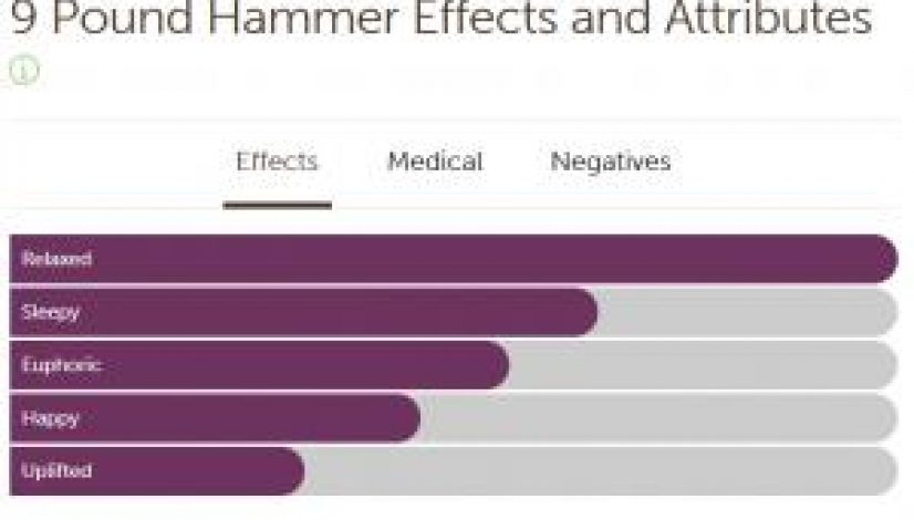 420-marijuana-reviews-nine-pound-hammer_1