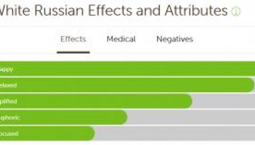 420-marijuana-reviews-white-russian_1