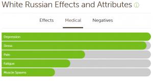 420 Marijuana Reviews: White Russian