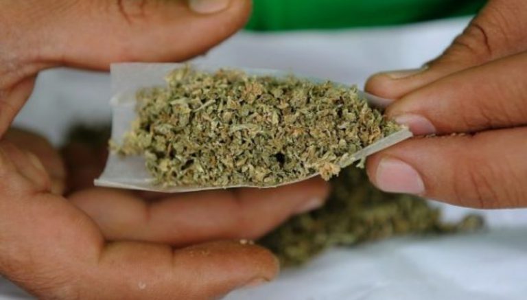 Colorado towns back ballot questions on marijuana business