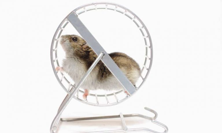 Congress Just Extended Federal Medical Marijuana Protections