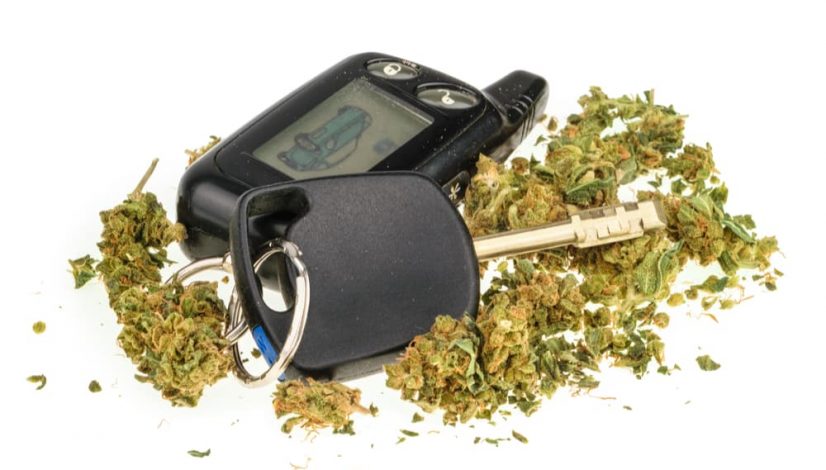 could-drivers-under-21-lose-their-license-if-caught-with-marijuana_1