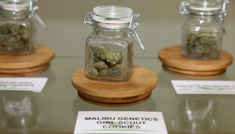 how-many-dispensaries-are-in-each-state_1