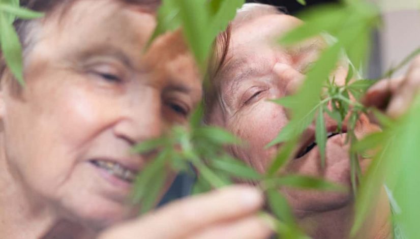 should-medical-marijuana-be-given-to-seniors_1