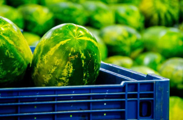 The Most Creative Ways People Have Hidden Their Weed