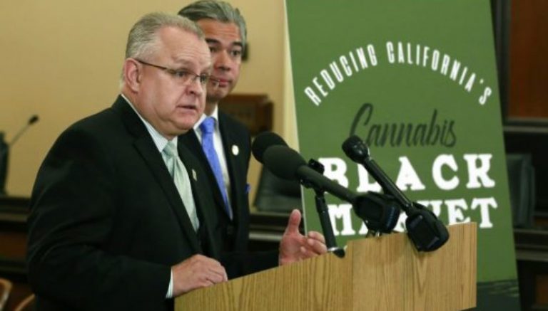 California could cut marijuana taxes to lure consumers away from black market