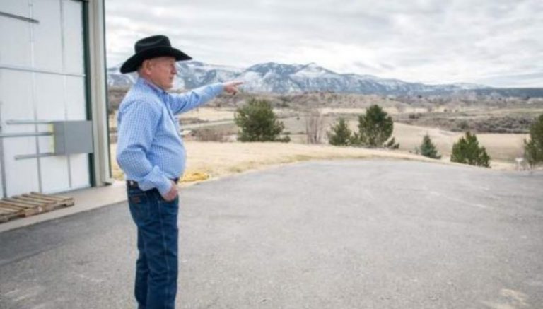 From horses to hemp: Colorado rancher eyes second calling