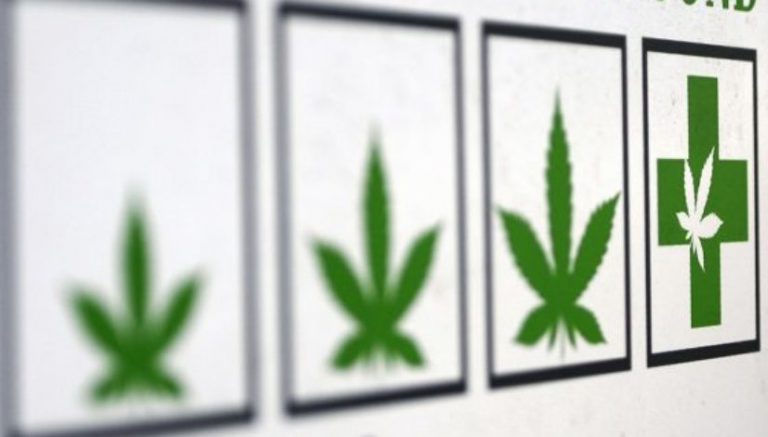 Michigan closes 40 medical marijuana businesses