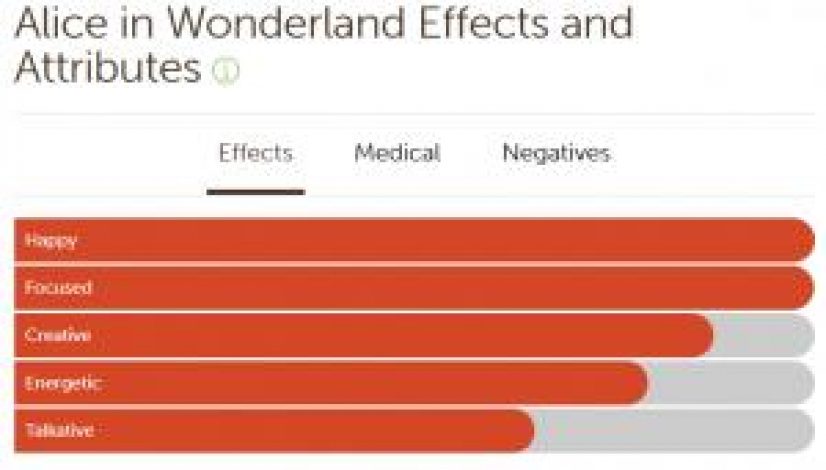 420-marijuana-reviews-alice-in-wonderland_1