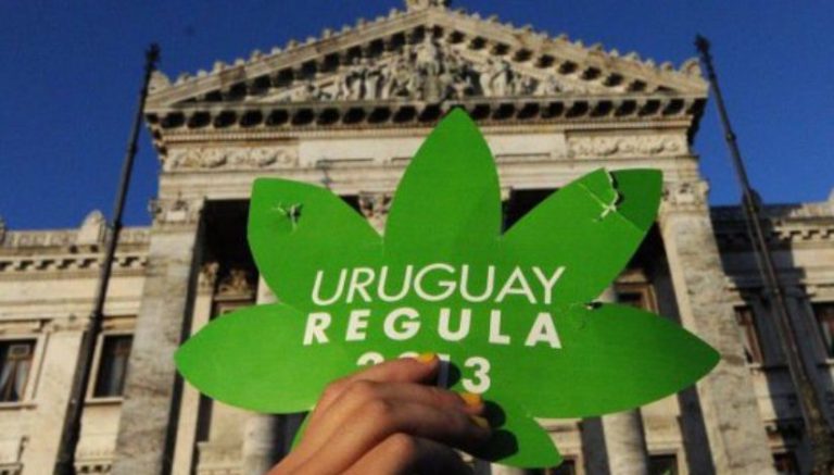 What the world can learn from the first country to legalize marijuana