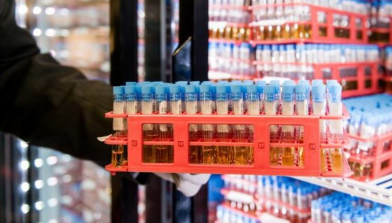 Will legal marijuana kill the employment drug test?