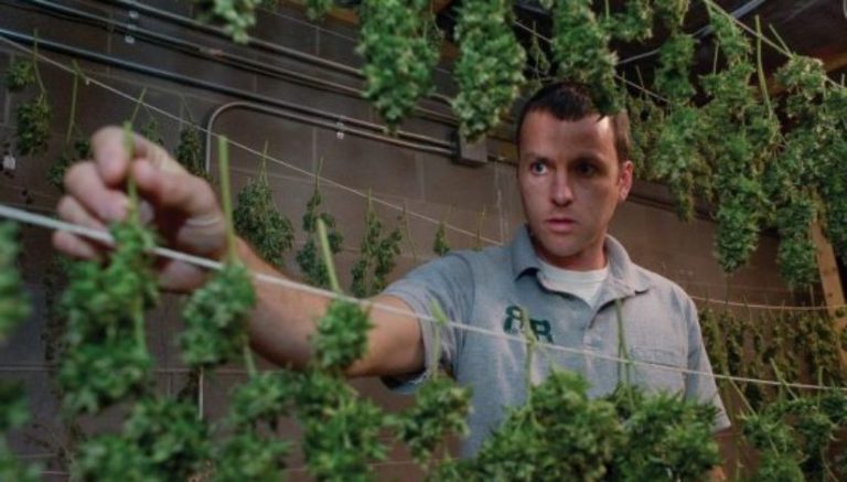 Parents want to keep marijuana shop away from dojo