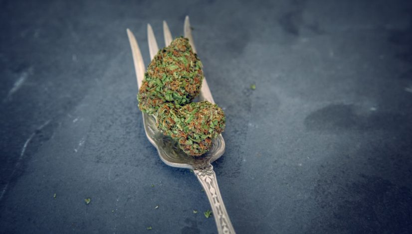 can-you-get-high-from-eating-raw-weed_1