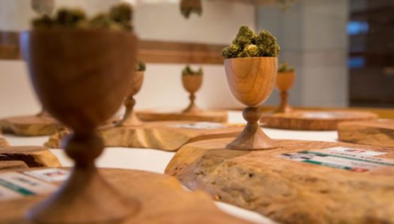 Canadian company seeks to be the Starbucks of American marijuana