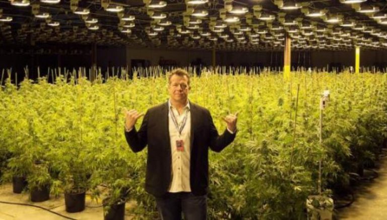 Cannabis company eyes massive expansion, adding 50 Colorado locations within the next 3 years