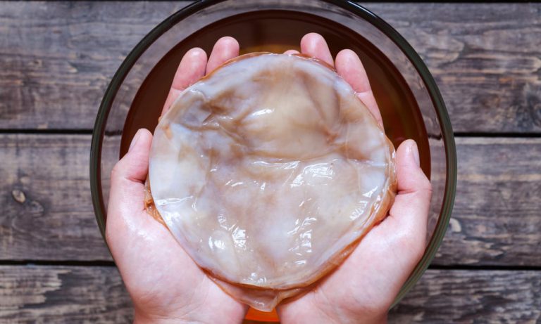 How To Brew Cannabis Kombucha